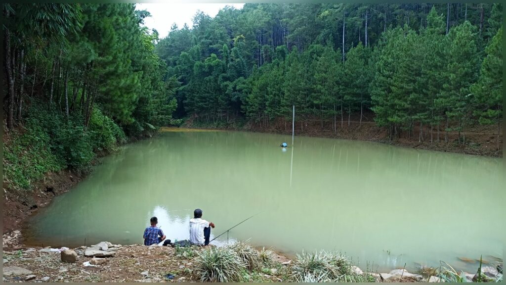 Embung Estumulyo Sawahan Nganjuk, Surga Tersembunyi Hilangkan Penat/Ist