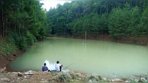 Embung Estumulyo Sawahan Nganjuk, Surga Tersembunyi Hilangkan Penat/Ist